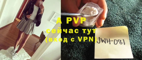 индика Зеленодольск