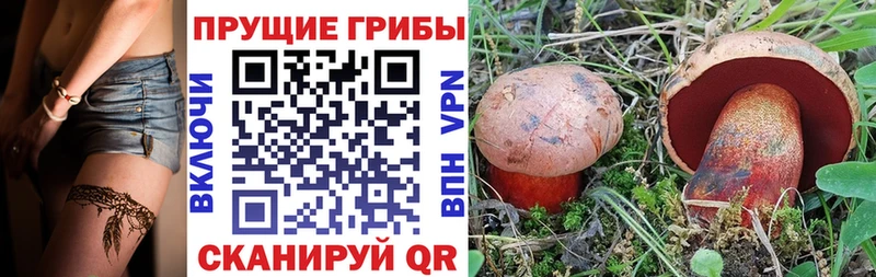 kraken зеркало дарнет шоп Лебедянь Псилоцибиновые грибы мицелий